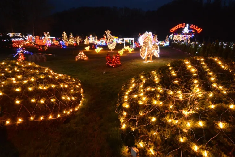 OBITELJ SALAJ IMA I USKRSNU PRIČU: Pogledajte kako su imanje u Čazmi okitili s 30.000 svijetlećih pisanica, pilića i zečića