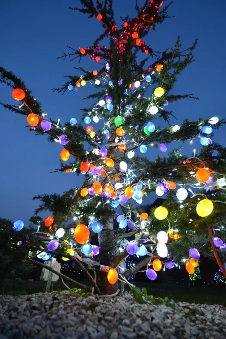 OBITELJ SALAJ IMA I USKRSNU PRIČU: Pogledajte kako su imanje u Čazmi okitili s 30.000 svijetlećih pisanica, pilića i zečića