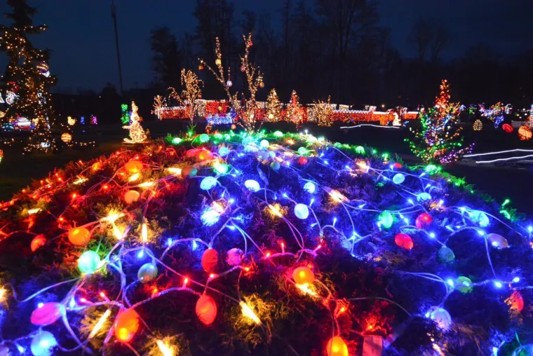 OBITELJ SALAJ IMA I USKRSNU PRIČU: Pogledajte kako su imanje u Čazmi okitili s 30.000 svijetlećih pisanica, pilića i zečića
