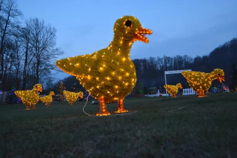 OBITELJ SALAJ IMA I USKRSNU PRIČU: Pogledajte kako su imanje u Čazmi okitili s 30.000 svijetlećih pisanica, pilića i zečića
