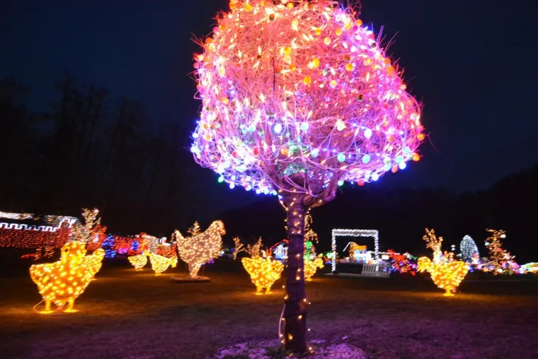OBITELJ SALAJ IMA I USKRSNU PRIČU: Pogledajte kako su imanje u Čazmi okitili s 30.000 svijetlećih pisanica, pilića i zečića