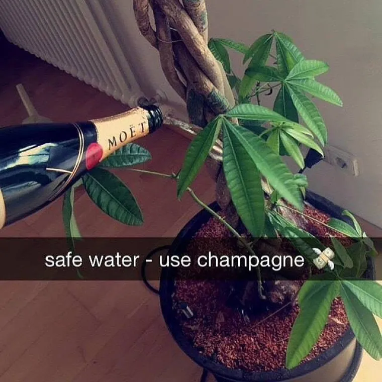 PRLJAVO BOGATI KLINCI INSTAGRAMA I DALJE ISMIJAVAJU SIROMA&Scaron;NE: Mamice i tatice im kupili sve osim skromnosti