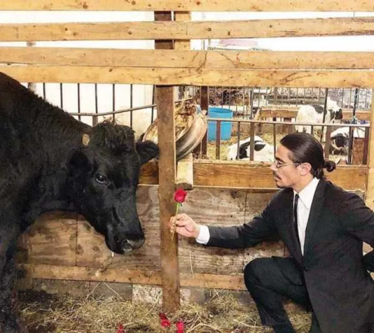 NEOPISIVO JE ČIME SE SVE RUSI HVALE NA DRU&Scaron;TVENIM MREŽAMA: Prizori iz njihovih domova jo&scaron; su bizarniji od prizora s ulica