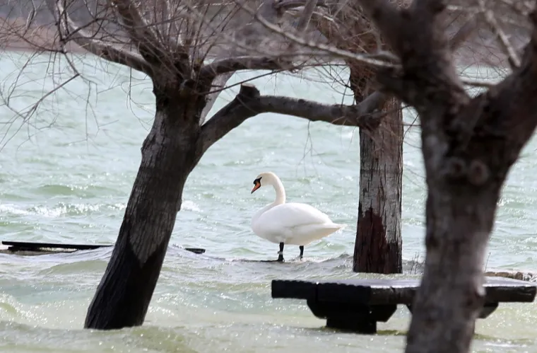 Kamp i lučica u Parku prirode Vransko jezero kompletno pod vodom, valovi i vjetar prijete mostu