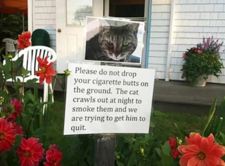 Pasivna agresija na djelu - urnebesni susjedski obračuni