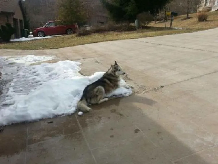 Pasivna agresija na djelu - urnebesni susjedski obračuni