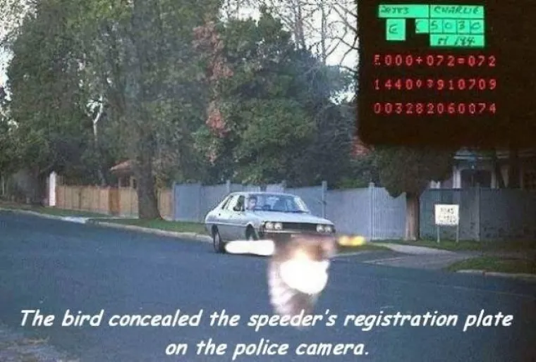 ZA DLAKU IZBJEGLI SMRT: Nisu niti znali koliki su sretnici dok nisu vidjeli snimke, stvarno ih prati anđeo čuvar