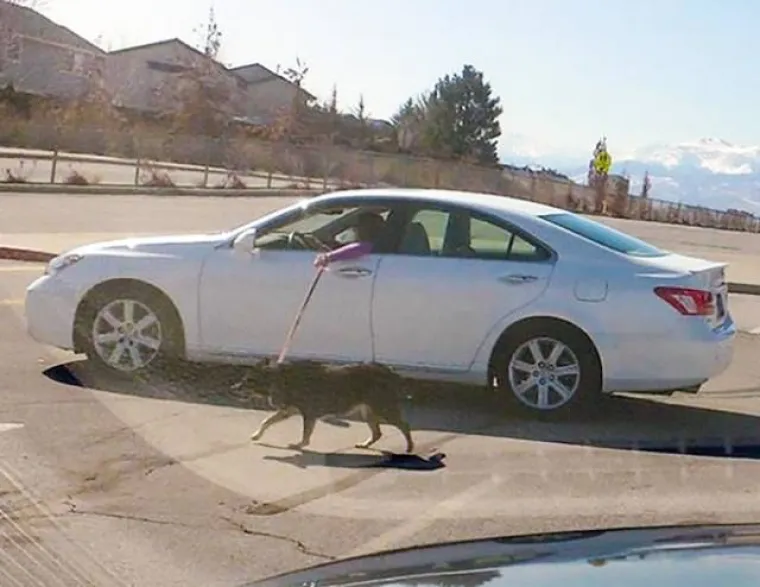 PRIMITIVNA RJE&Scaron;ENJA ZA DOSADNE PROBLEME SVAKODNEVICE: Ako funkcionira, ne može biti glupo, zar ne?