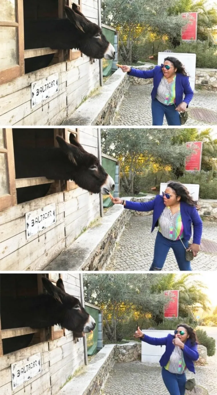 ŽIVOTINJE SU NEPRESU&Scaron;AN IZVOR VESELJA I HUMORA: Ako vam treba doza smijeha, one znaju kako popraviti raspoloženje