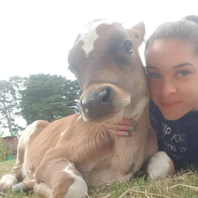 ŽIVOTINJE SU NEPRESU&Scaron;AN IZVOR VESELJA I HUMORA: Ako vam treba doza smijeha, one znaju kako popraviti raspoloženje