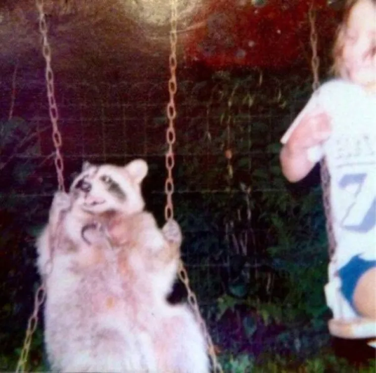 ŽIVOTINJE SU NEPRESU&Scaron;AN IZVOR VESELJA I HUMORA: Ako vam treba doza smijeha, one znaju kako popraviti raspoloženje