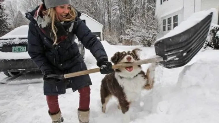 ŽIVOTINJE SU NEPRESU&Scaron;AN IZVOR VESELJA I HUMORA: Ako vam treba doza smijeha, one znaju kako popraviti raspoloženje