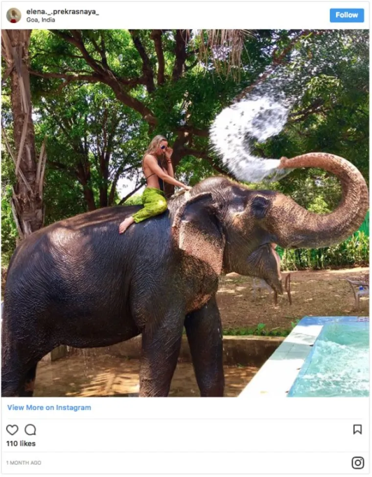 ŽIVOTINJE SU NEPRESU&Scaron;AN IZVOR VESELJA I HUMORA: Ako vam treba doza smijeha, one znaju kako popraviti raspoloženje