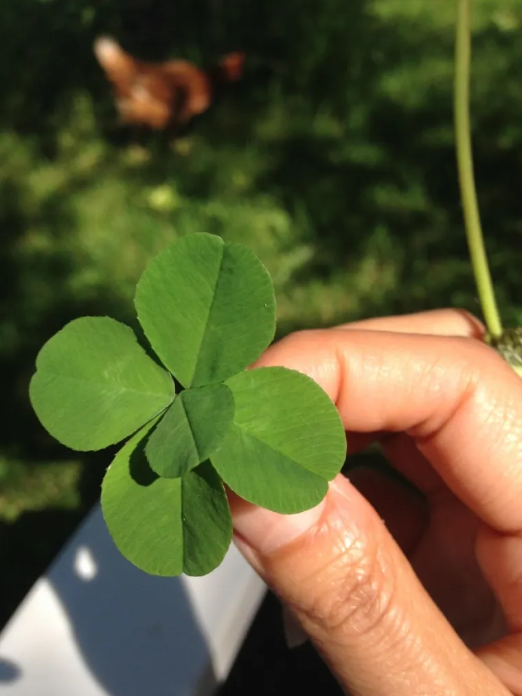 ONO KAD JE ČITAV SVEMIR NA TVOJOJ STRANI: &Scaron;anse su bile jedan prema milijun, ali kad te hoće...