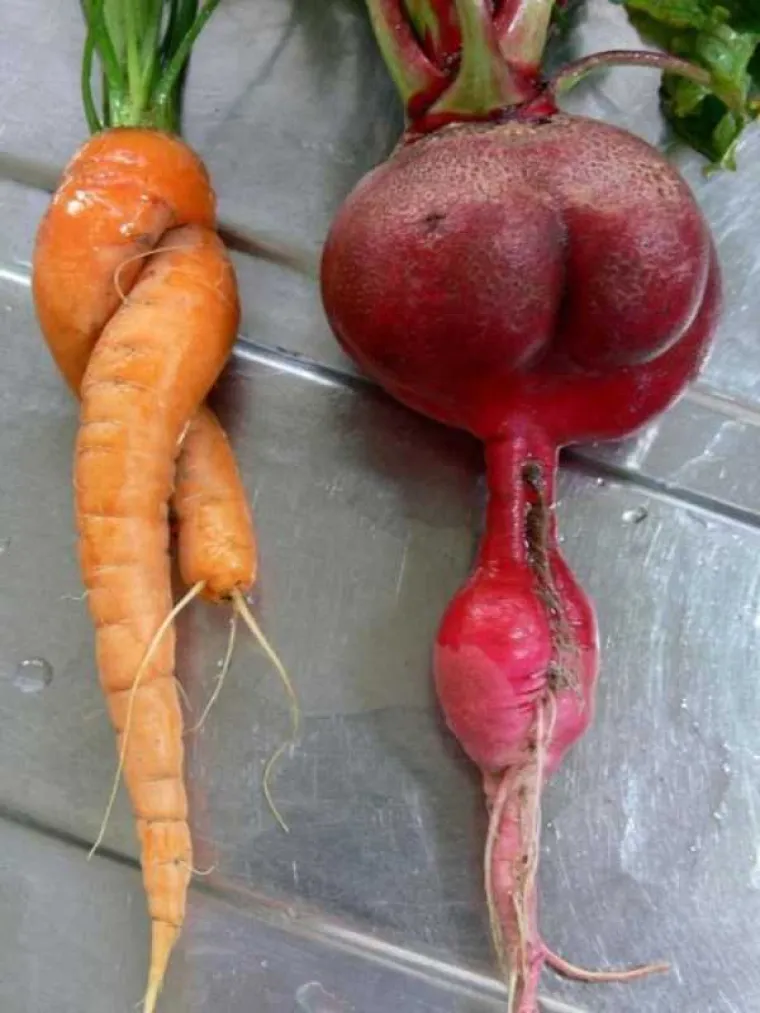 NEKI LJUDI NA SVE STRANE VIDE SAMO GUZE: U galeriji smo okupili prizore koji će testirati koliko vam je prljava ma&scaron;ta