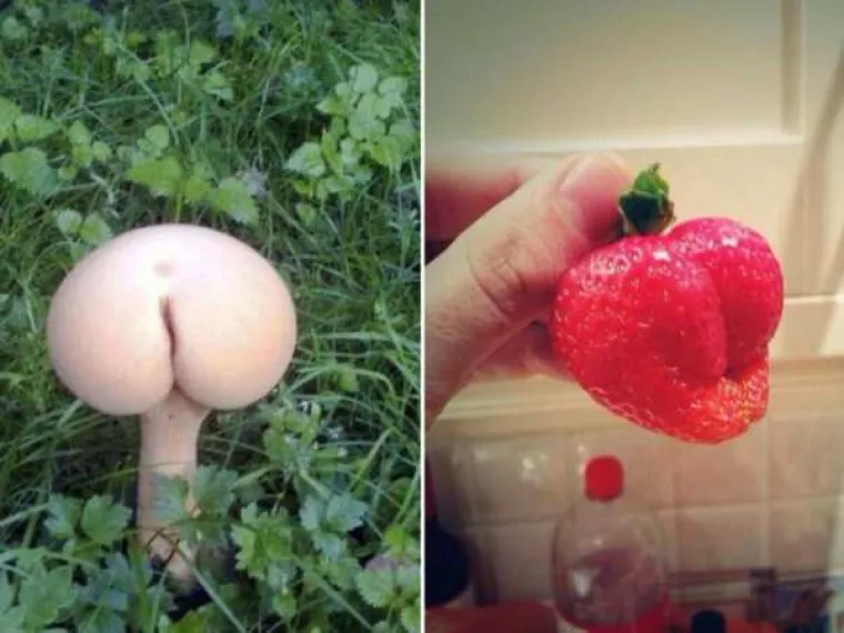 NEKI LJUDI NA SVE STRANE VIDE SAMO GUZE: U galeriji smo okupili prizore koji će testirati koliko vam je prljava ma&scaron;ta