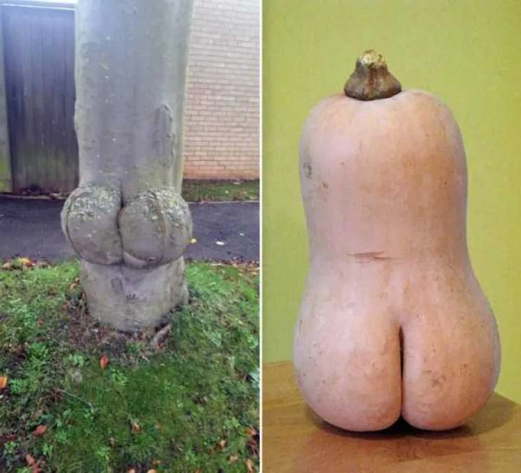 NEKI LJUDI NA SVE STRANE VIDE SAMO GUZE: U galeriji smo okupili prizore koji će testirati koliko vam je prljava ma&scaron;ta