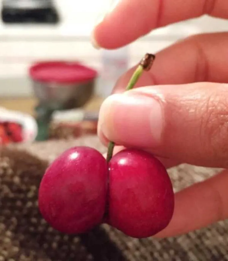 NEKI LJUDI NA SVE STRANE VIDE SAMO GUZE: U galeriji smo okupili prizore koji će testirati koliko vam je prljava ma&scaron;ta