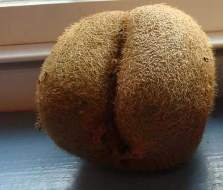 NEKI LJUDI NA SVE STRANE VIDE SAMO GUZE: U galeriji smo okupili prizore koji će testirati koliko vam je prljava ma&scaron;ta