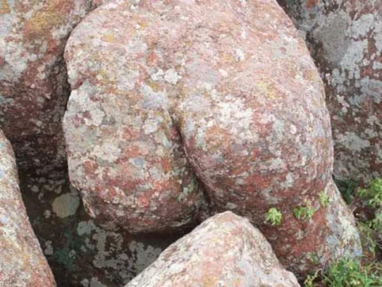 NEKI LJUDI NA SVE STRANE VIDE SAMO GUZE: U galeriji smo okupili prizore koji će testirati koliko vam je prljava ma&scaron;ta