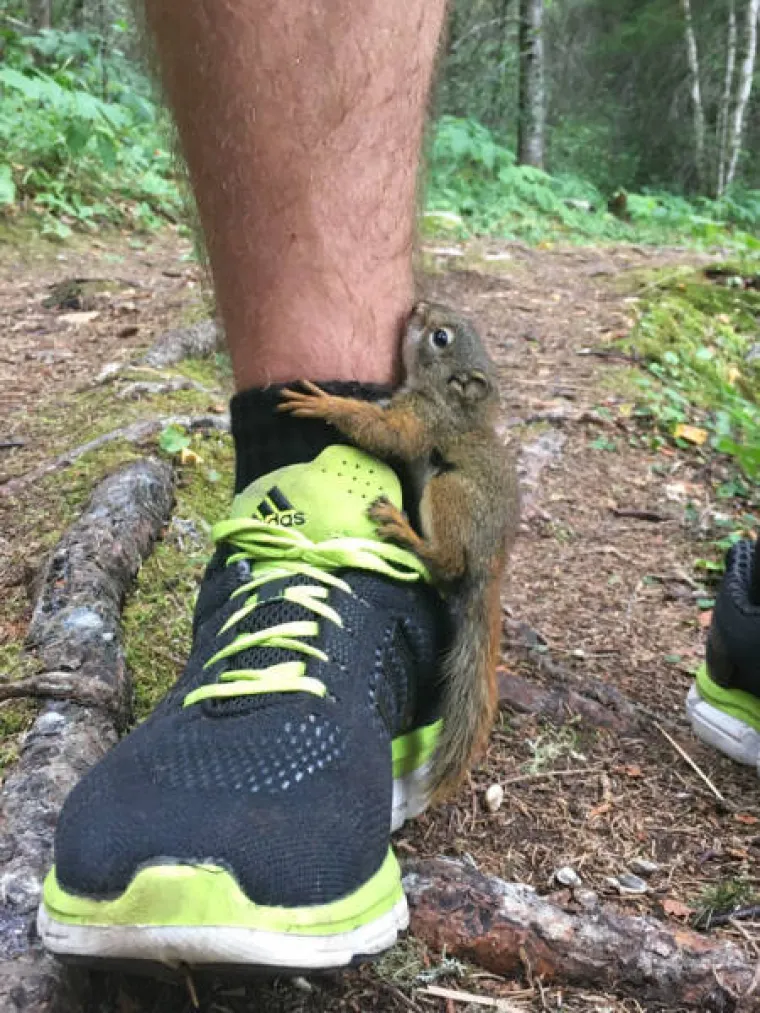 SHVATILI DA SU ŽIVUĆE DISNEYJEVE PRINCEZE: Životinje se u njihovoj prisutnosti pona&scaron;aju kao da imaju čarobne moći