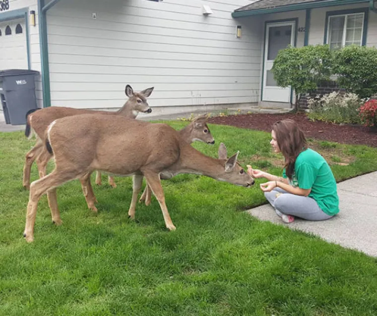 SHVATILI DA SU ŽIVUĆE DISNEYJEVE PRINCEZE: Životinje se u njihovoj prisutnosti pona&scaron;aju kao da imaju čarobne moći