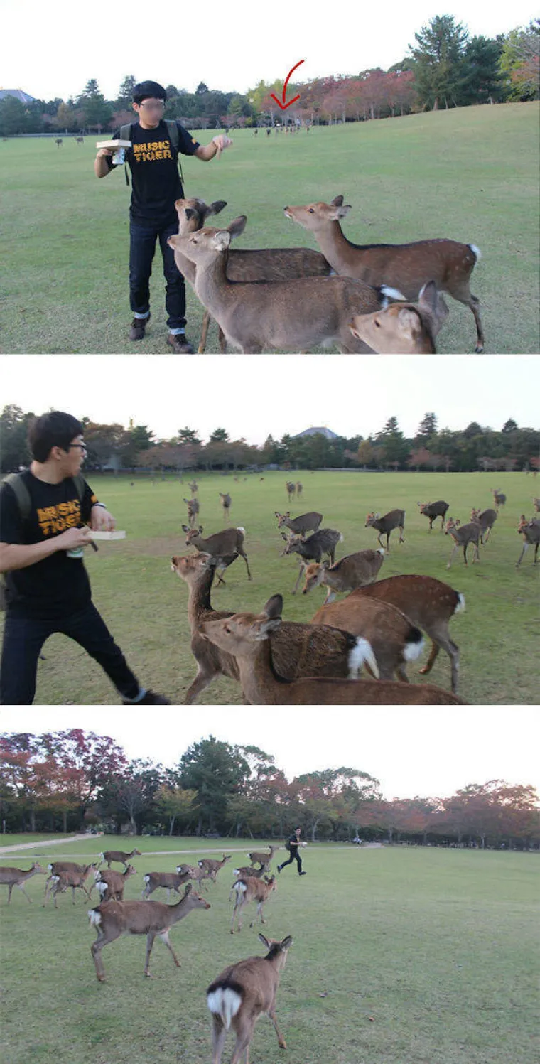 SHVATILI DA SU ŽIVUĆE DISNEYJEVE PRINCEZE: Životinje se u njihovoj prisutnosti pona&scaron;aju kao da imaju čarobne moći