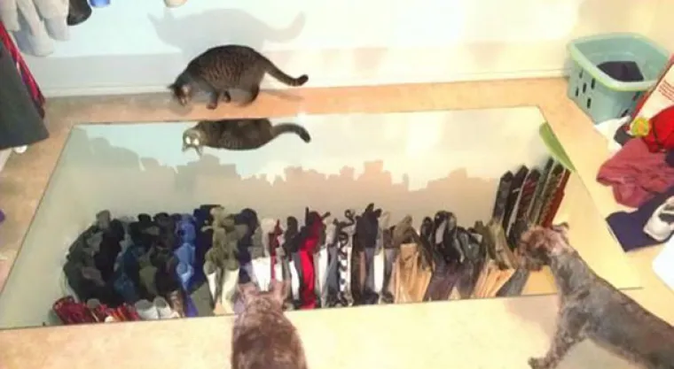 JESTE LI PRIMIJETILI NE&Scaron;TO ČUDNO NA OGLASIMA ZA OGLEDALA? Ispada da su to najbolji oglasi na cijelom internetu, evo za&scaron;to