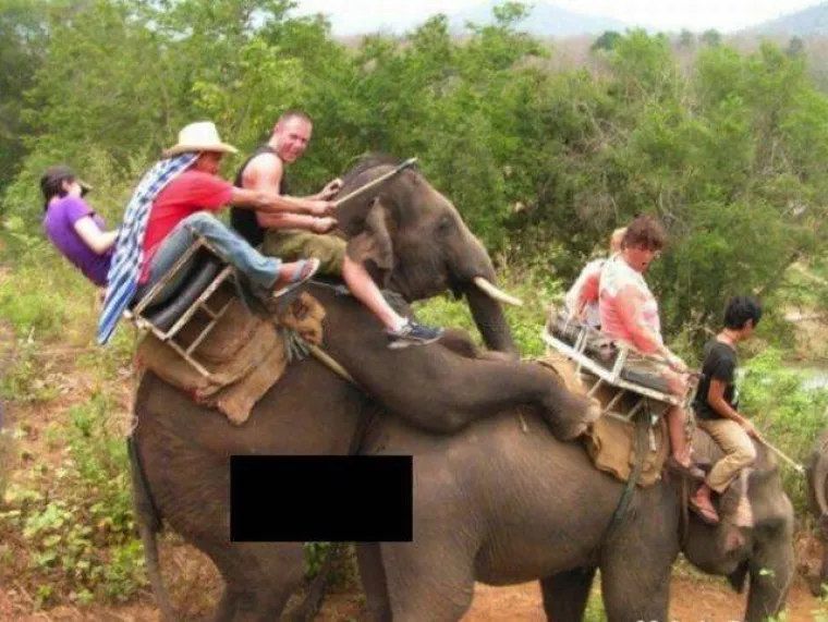 PUTOVANJE &Scaron;IRI VIDIKE: Na mnogo, mnogo vi&scaron;e načina nego &scaron;to bi očekivali