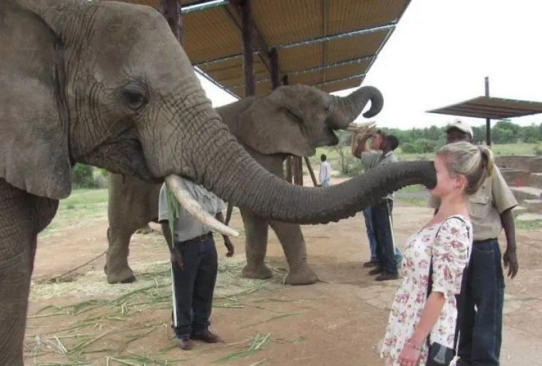 PUTOVANJE &Scaron;IRI VIDIKE: Na mnogo, mnogo vi&scaron;e načina nego &scaron;to bi očekivali