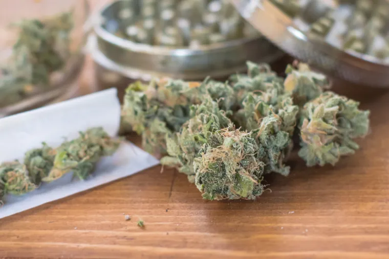 Otkrivena jo&scaron; jedna velika blagodat marihuane - hoće li pomoći u legalizaciji?