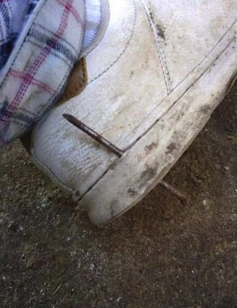 SREĆA JE NA NJIHOVOJ STRANI, POGLEDAJTE &Scaron;TO SU SVE PREŽIVJELI: Ako imate sreće, ne treba vam ba&scaron; puno pameti