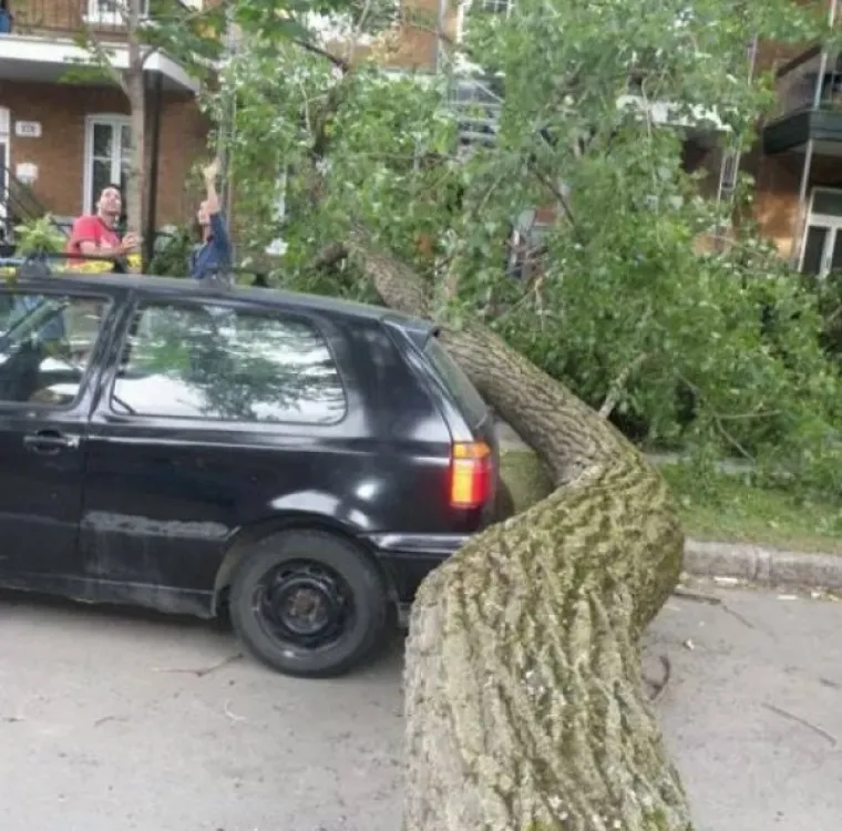 SREĆA JE NA NJIHOVOJ STRANI, POGLEDAJTE &Scaron;TO SU SVE PREŽIVJELI: Ako imate sreće, ne treba vam ba&scaron; puno pameti