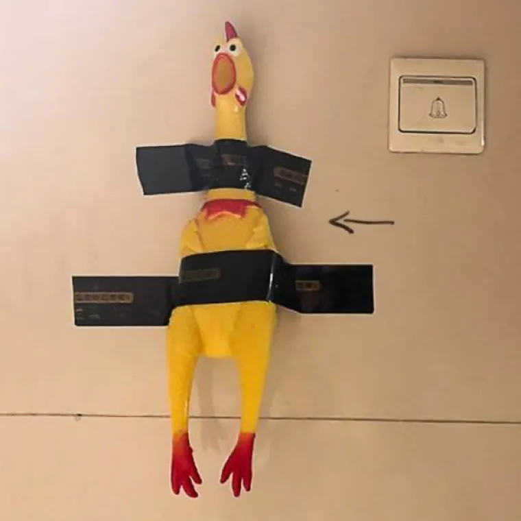 ELON MUSK ZAVIDI IM NA OVIM IZUMIMA: Očaj je jedna od najboljih inspiracija, a oni su očito dotaknuli dno