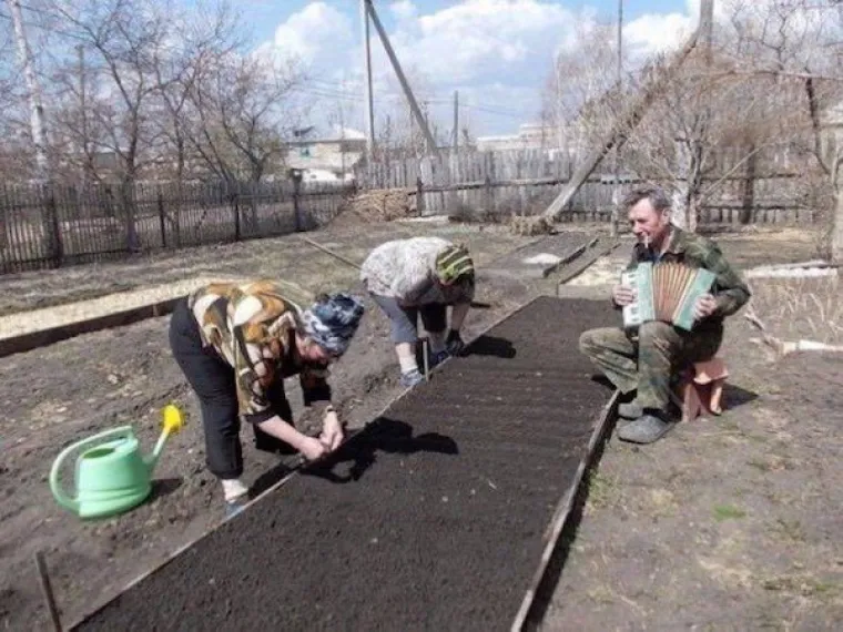 RUSKA EKONOMIJA CVATE, ONI SU NAJVEĆI IZVOZNICI GLUPOSTI: Svaki dan izvoze nove bizarne prizore, imaju pune ruke posla