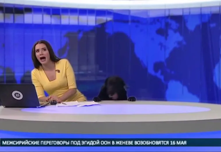 RUSKA EKONOMIJA CVATE, ONI SU NAJVEĆI IZVOZNICI GLUPOSTI: Svaki dan izvoze nove bizarne prizore, imaju pune ruke posla