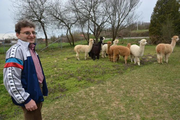 Najkvalitetnija vuna na svijetu: Dejan Jalžabetić prvi je u Hrvatsku uvezao alpake