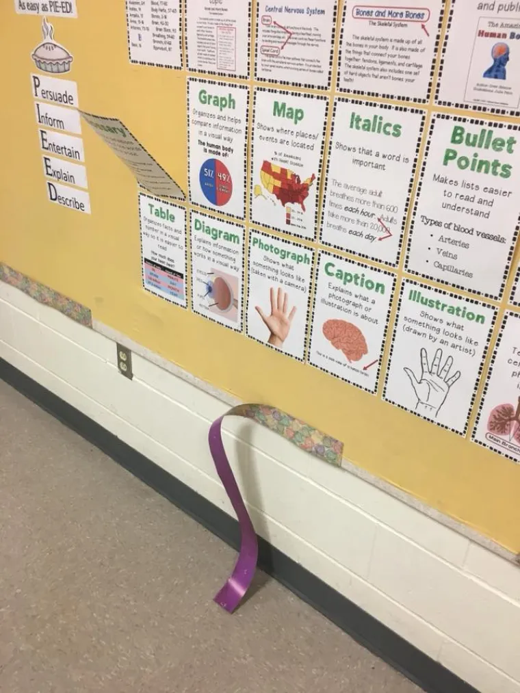 'Dosta mi je neodgojene djece i njihovih roditelja': učiteljica dala otkaz zbog nedoličnog pona&scaron;anja učenika