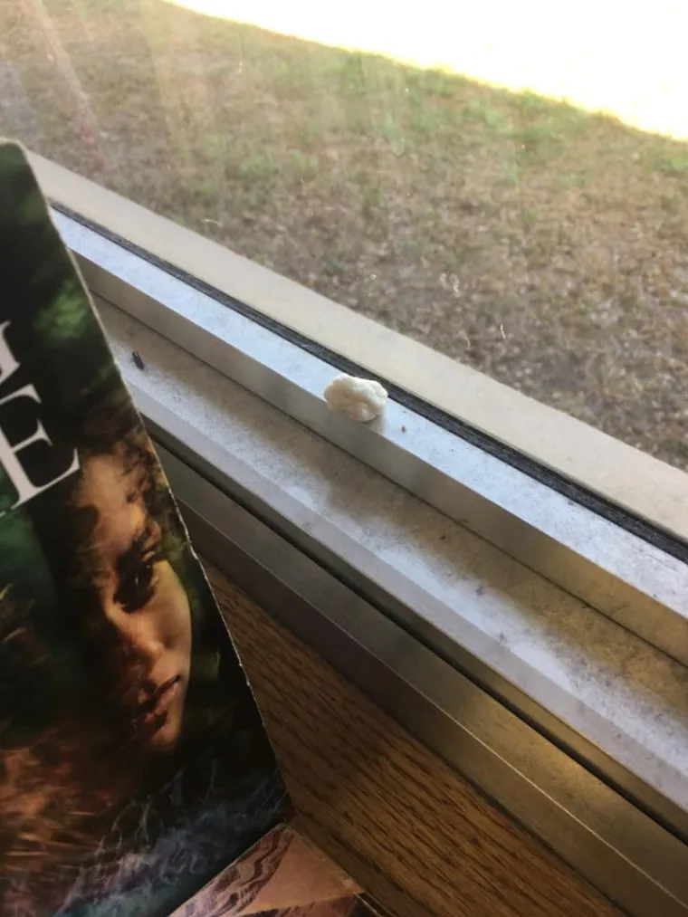 'Dosta mi je neodgojene djece i njihovih roditelja': učiteljica dala otkaz zbog nedoličnog pona&scaron;anja učenika