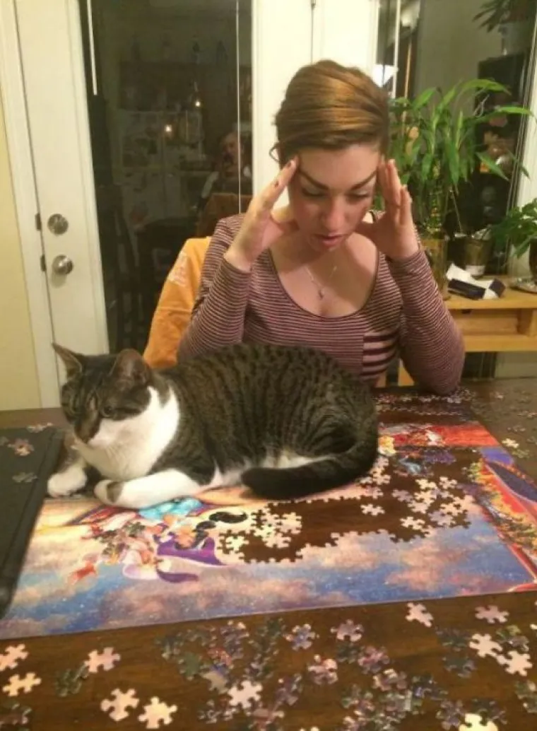 Mačke su ponekad (gotovo uvijek) nepodno&scaron;ljive, ali im jednostavno ne možete zamjeriti