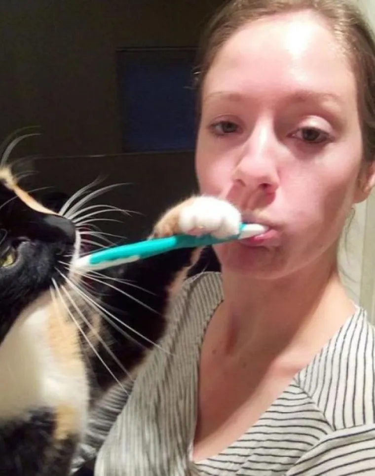 Mačke su ponekad (gotovo uvijek) nepodno&scaron;ljive, ali im jednostavno ne možete zamjeriti