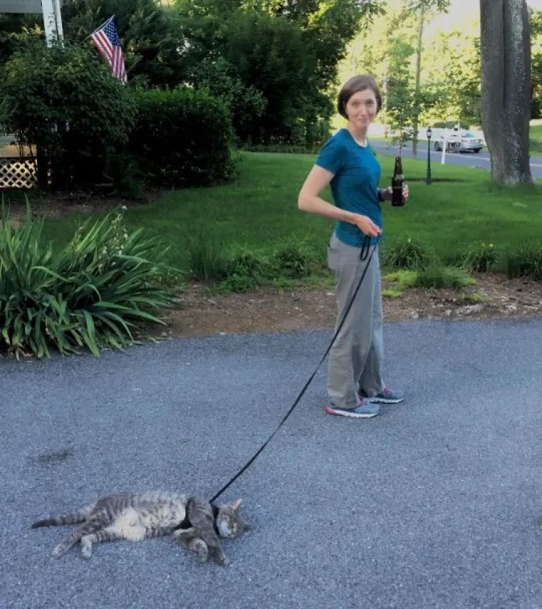 Mačke su ponekad (gotovo uvijek) nepodno&scaron;ljive, ali im jednostavno ne možete zamjeriti
