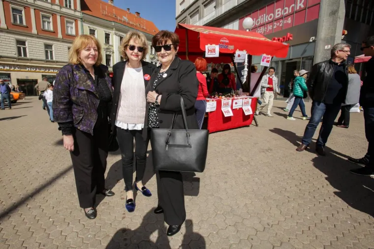 Tradicionalna humanitarna akcija 'Omiljeni cvijet Ane Rukavine'