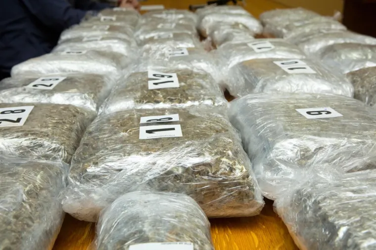 Policija zaplijenilla veliku količinu marihuane u Osijeku