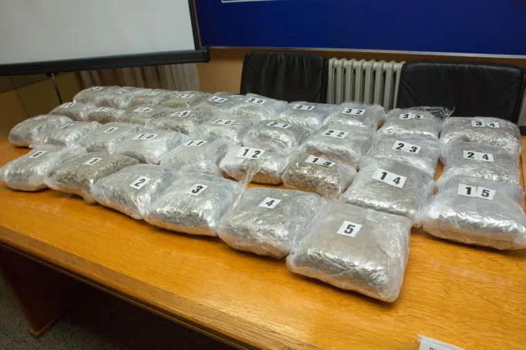 Policija zaplijenilla veliku količinu marihuane u Osijeku