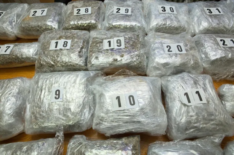 Policija zaplijenilla veliku količinu marihuane u Osijeku