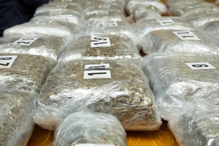 Policija zaplijenilla veliku količinu marihuane u Osijeku