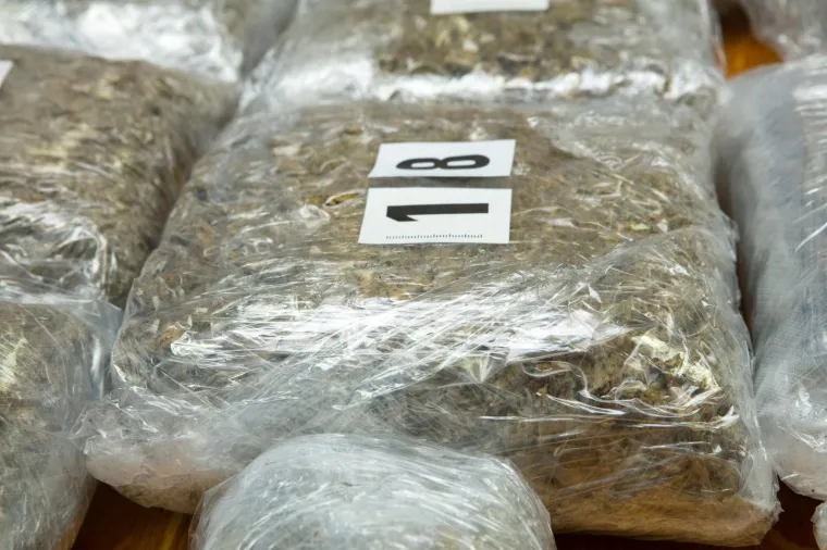 Policija zaplijenilla veliku količinu marihuane u Osijeku