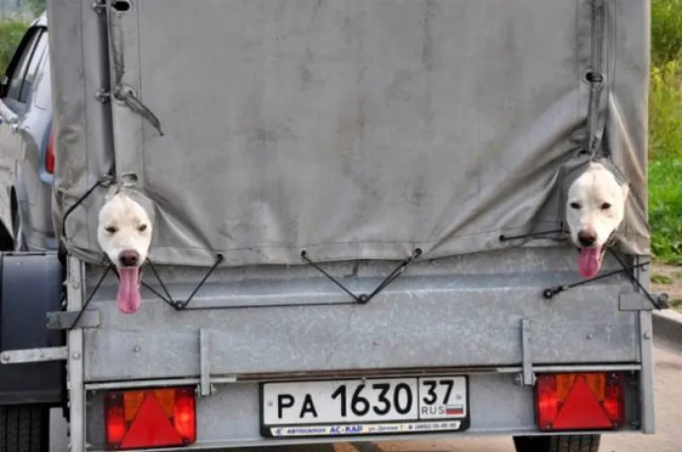 RADI LI SE SAMO O PUKOJ SLUČAJNOSTI ILI JE POSRIJEDI ZAVJERA? Objavili prizore na društvenim mrežama jer ne vjeruju u slučajnost