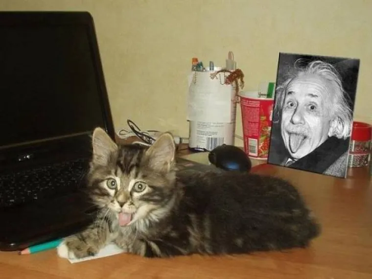 RADI LI SE SAMO O PUKOJ SLUČAJNOSTI ILI JE POSRIJEDI ZAVJERA? Objavili prizore na dru&scaron;tvenim mrežama jer ne vjeruju u slučajnost